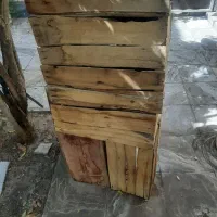 جعبه چوبی جهت میوه|عمده‌فروشی|دلیجان, |دیوار