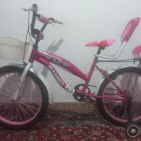 دوچرخه ۲۰ صورتی