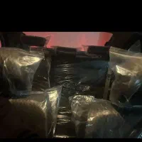 ساینا دوگانه سوزکارخانه gx فول رادار بیمه بدنه404|خودرو سواری و وانت|قزوین, |دیوار