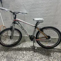 ویوا ایگوانا سایز ۲۷.۵