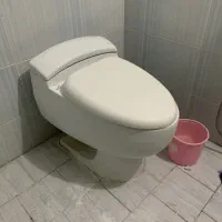 شیر آلات و توالت فرنگی