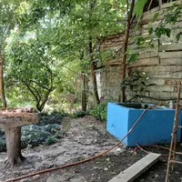 فروش ویلا باغ 1000 متری با باغ مرکبات بینظیر|فروش خانه و ویلا|امامزاده عبدالله, |دیوار