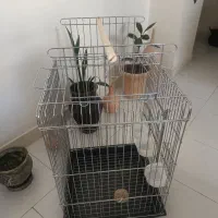 قفس استیل ضخیم  ضد زنگ و درجه یک خارجی کد ۱۰۳۳|لوازم جانبی حیوانات|پردیس, فاز ۱|دیوار