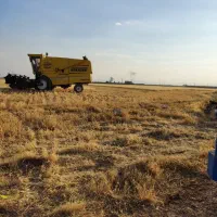 کمباین برزگرهمدان|خودرو سنگین|سردرود, |دیوار