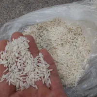 برنج  هاشمی