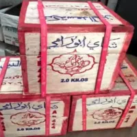 سرگرمی سعدالدین