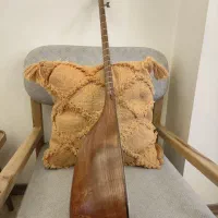 تنبور استاد مسعود ارزانلو|سازهای سنتی|تهران, ایرانشهر|دیوار