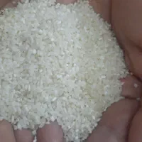 برنج لنجان و خرده دو قد|خوردنی و آشامیدنی|اصفهان, باغ فردوس|دیوار