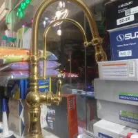 شیر طلایی شاوری