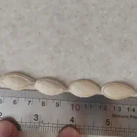 تخم کدو بذری t19