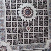 به علت نیاز مالی زیر قیمت خرید|فرش|سبزوار, بیهق شرقی|دیوار