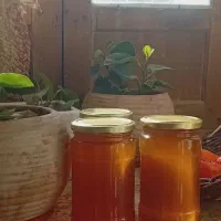 عسل صددر صد طبیعی|خوردنی و آشامیدنی|تهران, کوهک|دیوار
