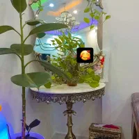 اینه ومیزجنس برنج