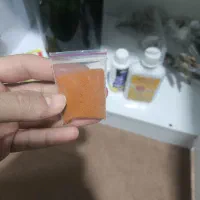 غذای ماهی|ماهی|زابل, |دیوار