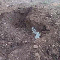 فروش کود دامی گوسفندی