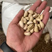 فروش پسته رفسنجان به صورت خرده و عمده|خوردنی و آشامیدنی|ری, دیلمان|دیوار