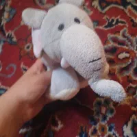 خرگوش|اسباب‌‌بازی|شیراز, سلطان آباد|دیوار