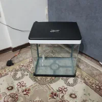 آکواریوم شرکتی