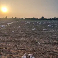 اجاره سه هکتار زمین کشاورزی با امتیاز آب چاه|اجارهٔ دفتر صنعتی، کشاورزی، تجاری|میناب, |دیوار