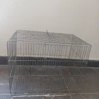 قفس پرنده قفس