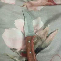 یک عدد چاقو