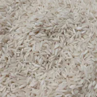 برنج طارم دشت دیره