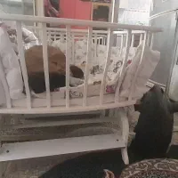 گهواره واغوشی نوزاد به همراه مای بی بی