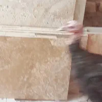 بوقلمون|حیوانات مزرعه|نیشابور, باغرود|دیوار