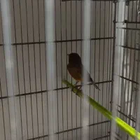 جهت برکت هر عزیزی خواست