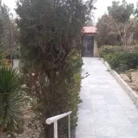 ونک فرعی دنج ۱۸۲متر۹۱۰م زمین