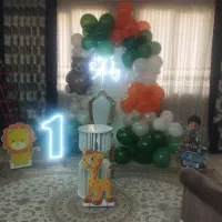 تم تولد شاپرک
