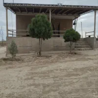 نیروی دامداری