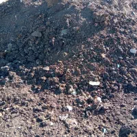 کود حیوانی خشک|خدمات باغبانی و درختکاری|فومن, |دیوار