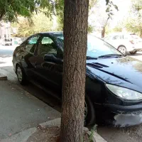 206 sd v20  مدل 86|خودرو سواری و وانت|تهران, نعمت‌آباد|دیوار
