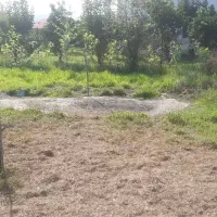 کوچه ۶متری بن بست