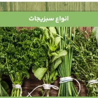 سبزی به صورت عمده وجزعی