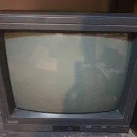 تلویزیون مخصوص نگهبانی و باغ