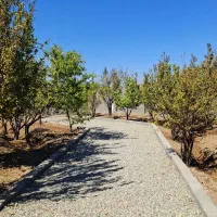 باغ و باغچه ۵۰۰ متری سندتکبرگ آب و برق