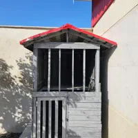 لانه سگ نراد آهن