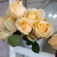 گل طبیعی|گل و گیاه طبیعی|قزوین, |دیوار