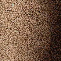 غذا ماهی گیاهخوار|ماهی|اراک, |دیوار