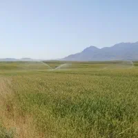 زمین آبی سد سلیمانشاه