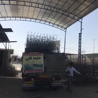 تولید نرده حفاظ شاخ گوزنی خلیفه قلی