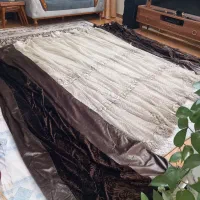 پرده پذیرایی