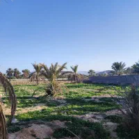 فروش-باغ-شهری