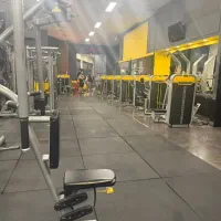 استخدام