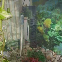 اکواریوم بزرگ