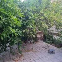 مشارکت گلشهر جنوبی ۳۳۰ متری