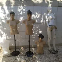 مانکن و رگال