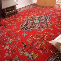 فرش ،ویترین|فرش|محمدیه-قزوین, |دیوار